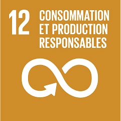 ODD 12 - Consommation et production responsables